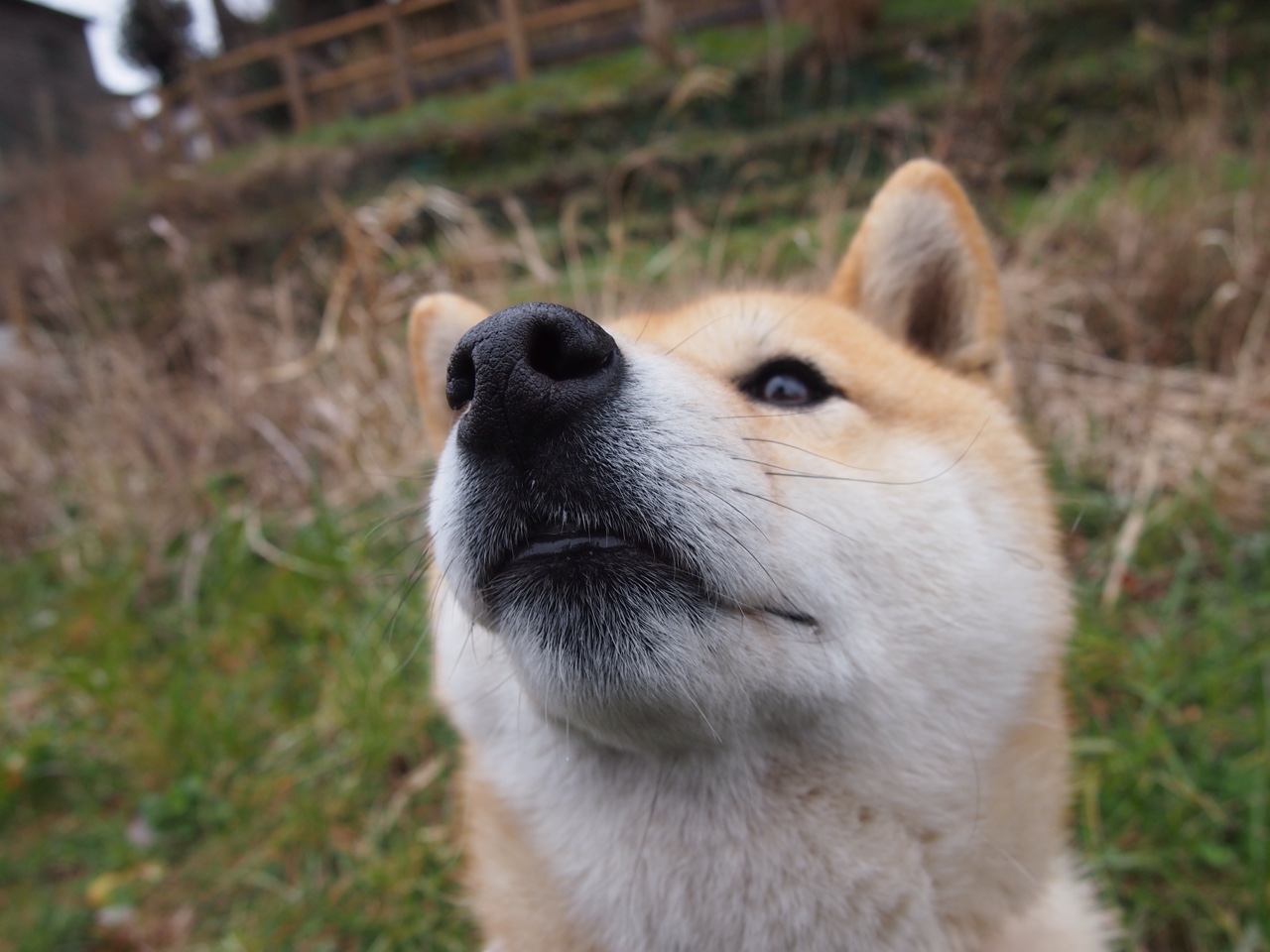 九游官网主页-德甲：多特3-4战平门兴，双方都献出精彩比赛，多特德甲两连冠