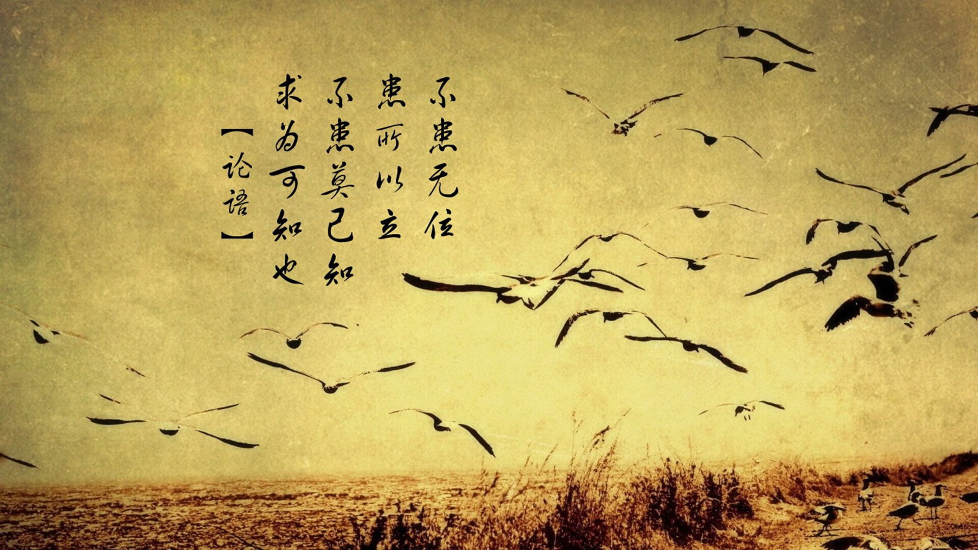 九游下载官网-日本骑手大和田智子在2024年巴黎奥运会上与“雷霆”马匹携手夺铜，创历史佳绩。