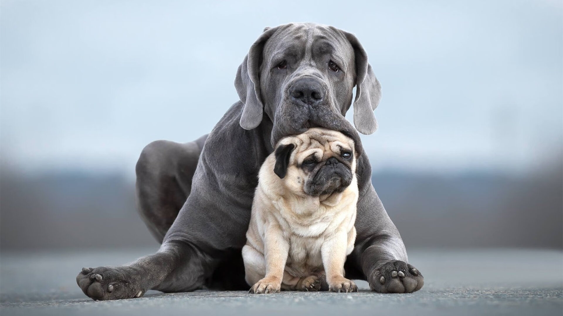 未来足球场馆将实现智能化管理,提升运营效率,足球场馆运营方案