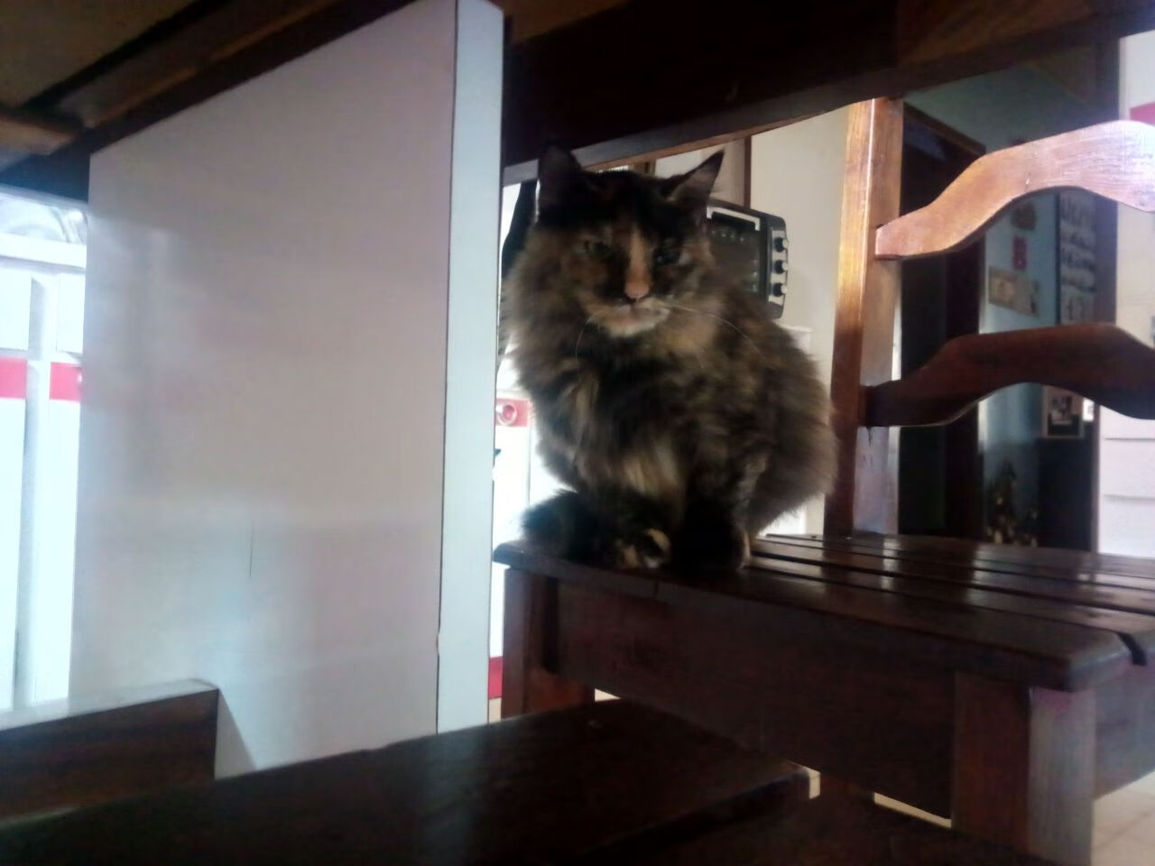 梅西续约迈阿密国际,继续征战美职联,梅西在迈阿密买的房子多少钱