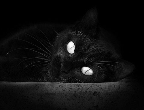 特色夜空徒步登山,挑战星空下的极限,露营夜空