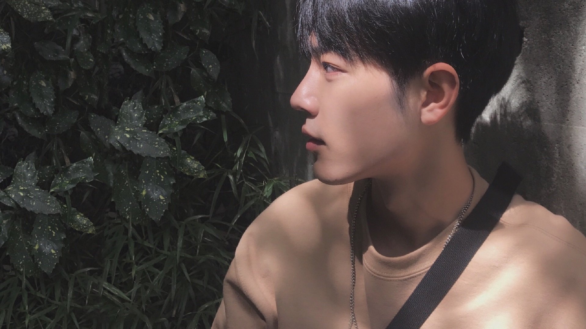 激动瞬间!李明突破防守,妙传助攻张伟得分!,李明is