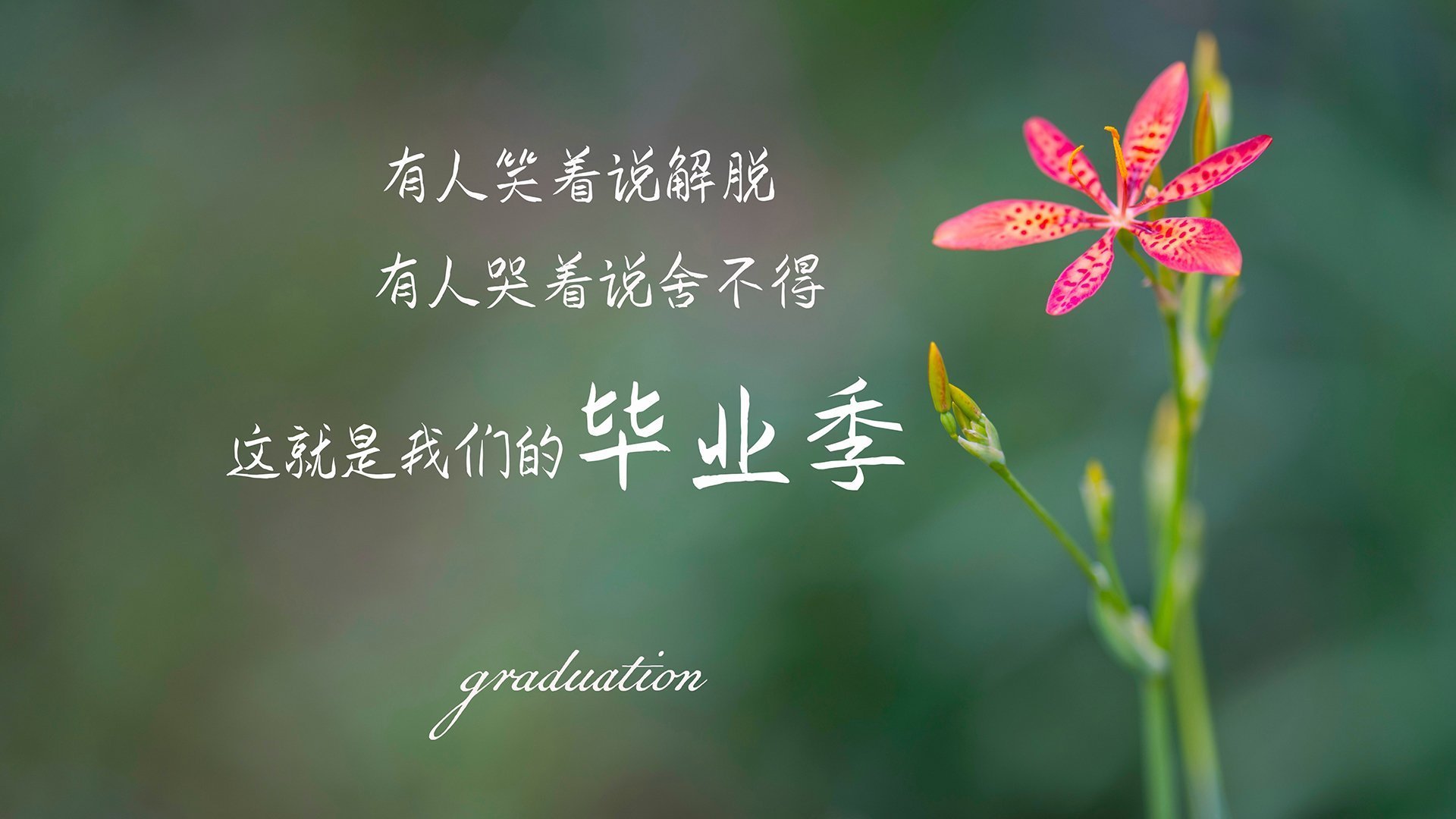 球场外的话题:球员生活点滴分享,球员对球场上所发生的事实问题