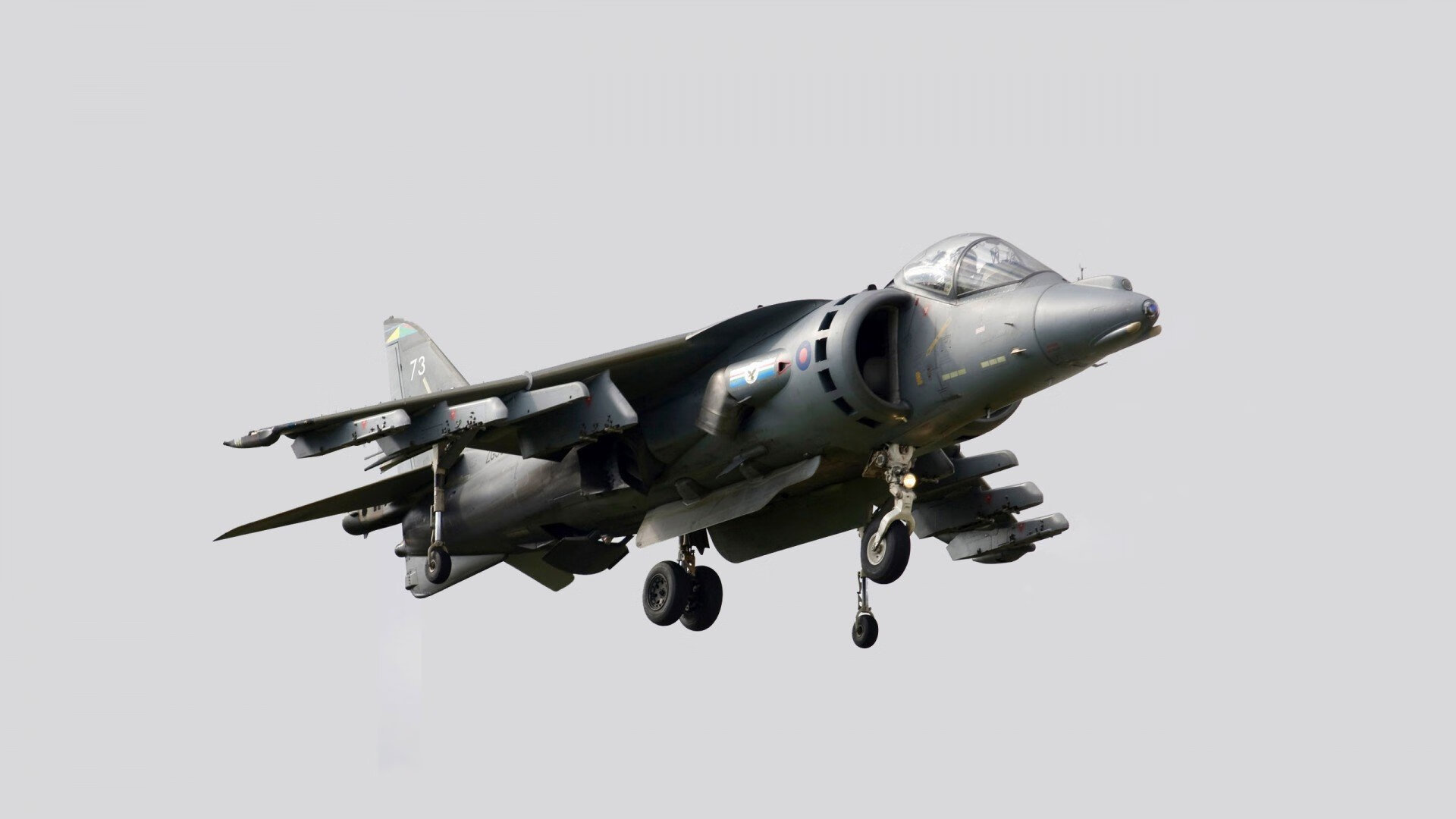 九游电脑版-篮网新援融入迅速表现抢眼，篮网新签