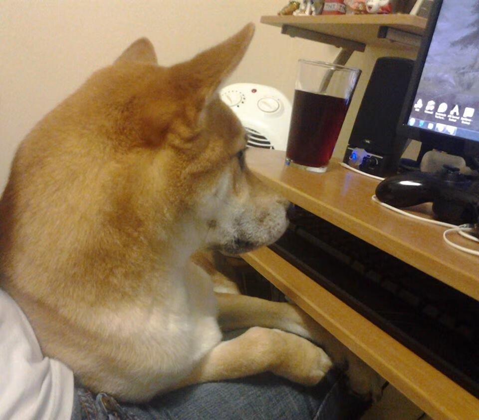 足球场馆智慧化改造试点项目引领行业新标准,足球场馆运营与管理