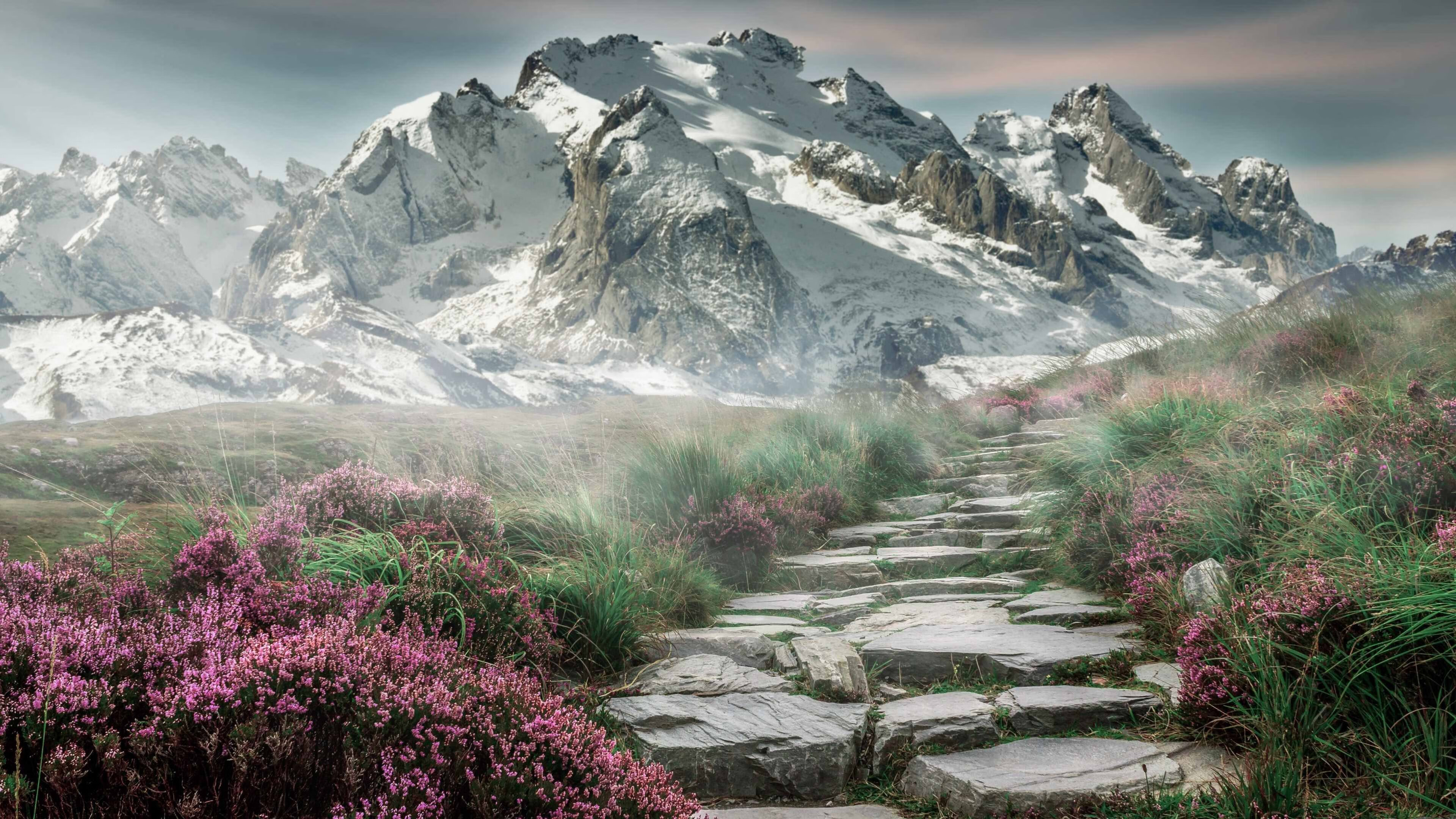 高额转会费背后:投资带来的回报?,转会费怎么算