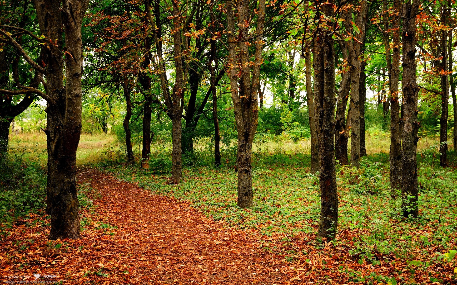 九游下载安装-克利斯蒂亚诺·罗纳尔多领衔葡萄牙队夺胜，继续前进，最终,拥有超级巨星克里斯蒂亚诺·罗纳尔多的葡萄牙队