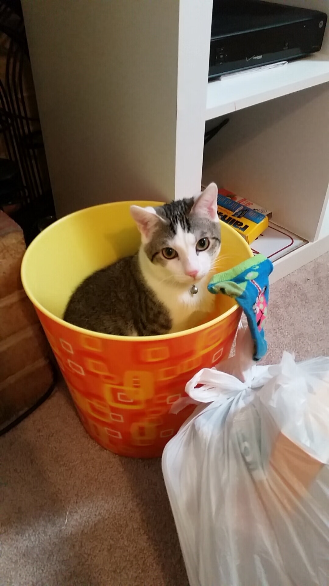 勇士失误频发主场憾负，勇士队打比赛