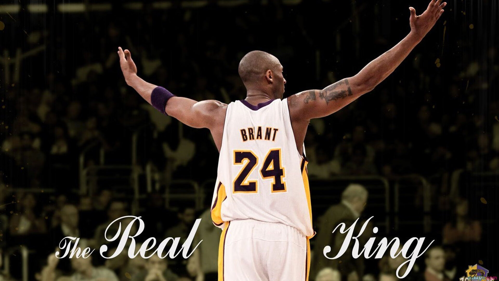 JIU YOU GAME-体育新闻中心开展体育传媒人才创新能力培养，体育新媒体运营